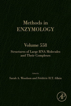 Structures of Large RNA Molecules and Their Complexes