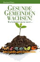 Gesunde Gemeinden wachsen Handbuch f?r Gemeinde-Gesundheit 電子書籍 Eberhard Platte 