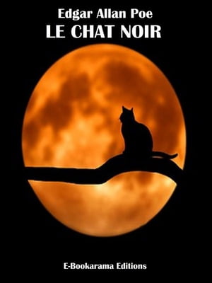 Le Chat noir