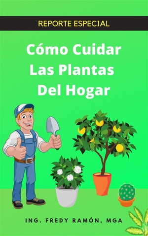 Cómo Cuidar las Plantas del Hogar