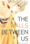 The Walls Between Us 2