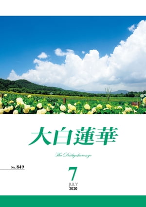 大白蓮華　2020年 7月号