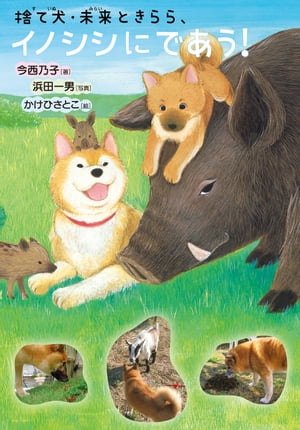捨て犬・未来ときらら、イノシシにであう！【電子書籍】[ 今西乃子 ]