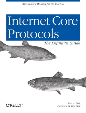 Internet Core Protocols: The Definitive Guide