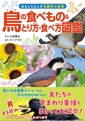 鳥の食べもの＆とり方・食べ方図鑑