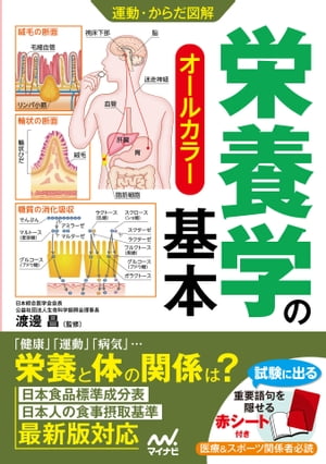 運動・からだ図解　栄養学の基本