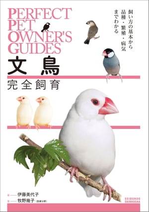 文鳥完全飼育