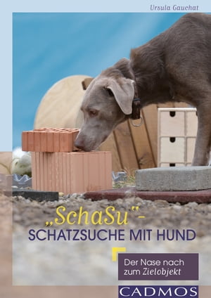 "SchaSu" - Schatzsuche mit Hund Der Nase nach zum Zielobjekt