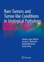 Rare Tumors and Tumor-like Conditions in Urological Pathology【電子書籍】 Antonio Lopez-Beltran