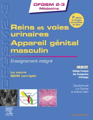 Reins et voies urinaires - Appareil génital masculin