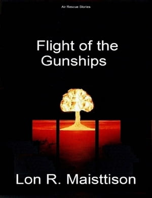 ŷKoboŻҽҥȥ㤨Flight of the GunshipsŻҽҡ[ Lon Maisttison ]פβǤʤ115ߤˤʤޤ