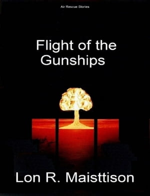 Flight of the Gunships