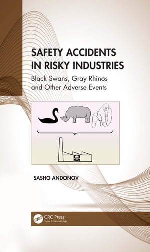 Safety Accidents in Risky Industries