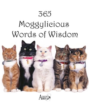 365 Moggylicious Words of Wisdom