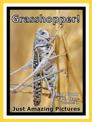 Just Grasshopper Photos! Big Book of Photographs & Pictures of Grasshoppers, Vol. 1