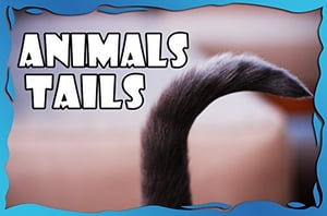 Animals Tails【電子書籍】[ Dan Jackson ]