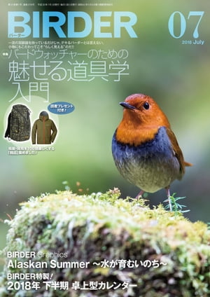 BIRDER2018年7月号