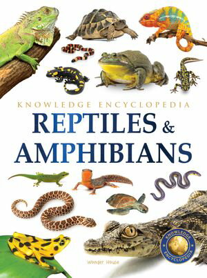 ŷKoboŻҽҥȥ㤨Animals - Reptiles and Amphibians : Knowledge Encyclopedia For ChildrenŻҽҡ[ Wonder House Books ]פβǤʤ292ߤˤʤޤ