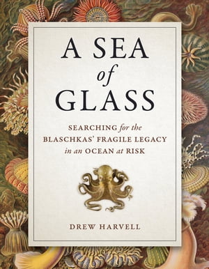 A Sea of Glass Searching for the Blaschkas 039 Fragile Legacy in an Ocean at Risk【電子書籍】 Drew Harvell