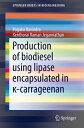 Production of biodiesel using lipase encapsulated in κ-carrageenan