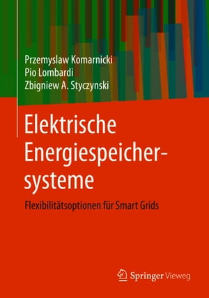 Elektrische Energiespeichersysteme