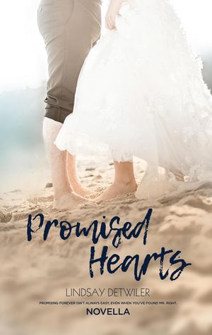 Promised Hearts Lines in the Sand, #4Żҽҡ[ Lindsay Detwiler ]