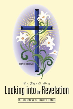 Looking into the Revelation