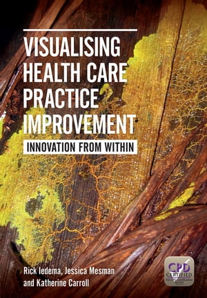 Visualising Health Care Practice Improvement