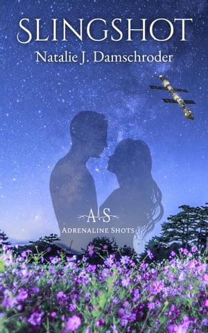 ŷKoboŻҽҥȥ㤨SlingshotŻҽҡ[ Natalie J. Damschroder ]פβǤʤ111ߤˤʤޤ