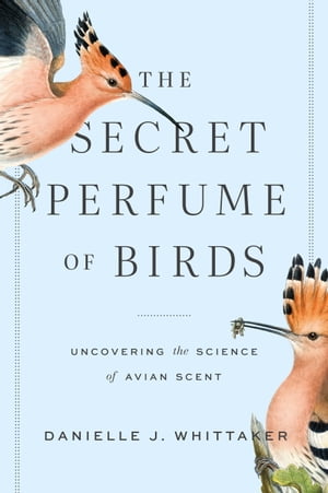 The Secret Perfume of Birds Uncovering the Science of Avian Scent【電子書籍】[ Danielle J. Whittaker ]