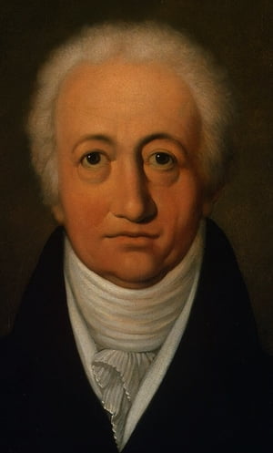 Johann Wolfgang von Goethe, Collection