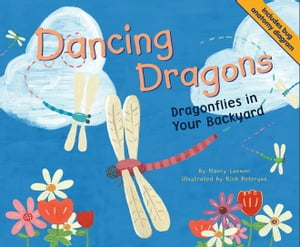 Dancing Dragons Dragonflies in Your Backyard