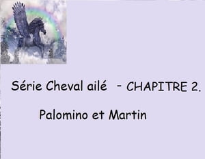 Chapitre 2 - Palomino et Martin