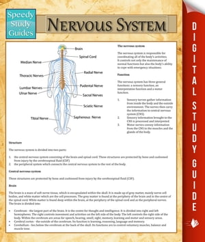 Nervous System