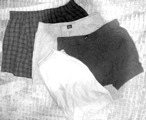 The Shorts A collection of sho