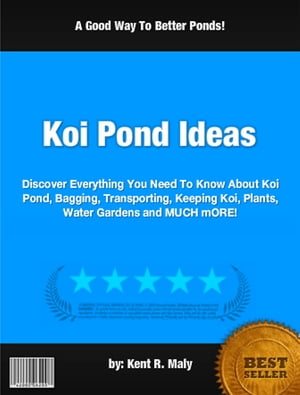 Koi Pond Ideas