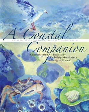 A Coastal Companion A Year in the Gulf of Maine, from Cape Cod to CanadaŻҽҡ[ Catherine Schmitt ]