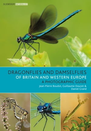 Dragonflies and Damselflies of Britain and Western Europe