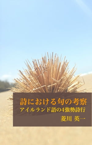 詩における句の考察 アイルランド語の4強勢詩行【電子書籍】[ 菱川 英一 ]