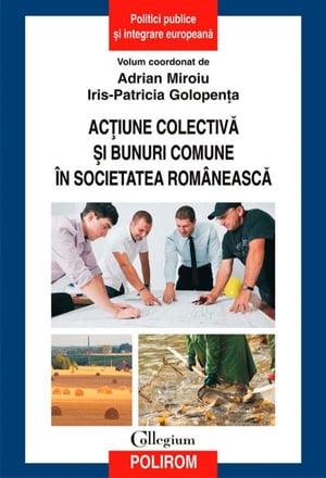 Acțiune colectivă și bunuri comune în societatea românească