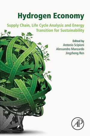 Hydrogen Economy Supply Chain, Life Cycle Analysis and Energy Transition for Sustainability【電子書籍】