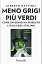 Meno grigi pi? Verdi Come un genio ha spiegato lItalia agli italianiŻҽҡ[ Alberto Mattioli ]