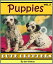 Puppies - Volume 2 A Photo Collection of Adorable, Cuddly PuppiesŻҽҡ[ Jen Weston ]