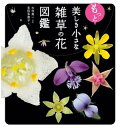 もっと美しき小さな雑草の花図鑑【電子書籍】[ 大作 晃一 ]