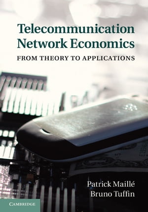 Telecommunication Network Economics