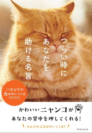 つらい時にあなたを助ける名言 〜ニャンだか力がわいてくる〜