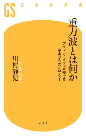 重力波とは何か　アインシュタインが奏でる宇宙からのメロディー【電子書籍】[ 川村静児 ]