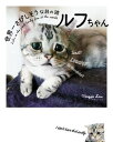 ＜p＞インスタグラム発！　北京在住のマギー・リウさんの飼い猫ルフちゃんのさびしそうな困り顔がネットで大評判に。「わたし、悲しくないわよ！」守ってあげたくなるようなその可愛さで、今やフォロワーが10万人。ねこ界のスーパーアイドル、新たなスター猫の誕生！　生まれた頃の写真から現在まで、インスタグラムにあがっていない未公開のものまで収録。＜/p＞画面が切り替わりますので、しばらくお待ち下さい。 ※ご購入は、楽天kobo商品ページからお願いします。※切り替わらない場合は、こちら をクリックして下さい。 ※このページからは注文できません。