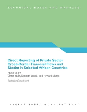 Direct Reporting of Private Sector Cross-Border Financial Flows and Stocks in Selected African Countries