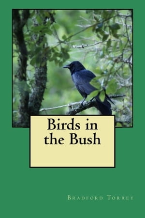 Birds in the Bush (Illustrated)